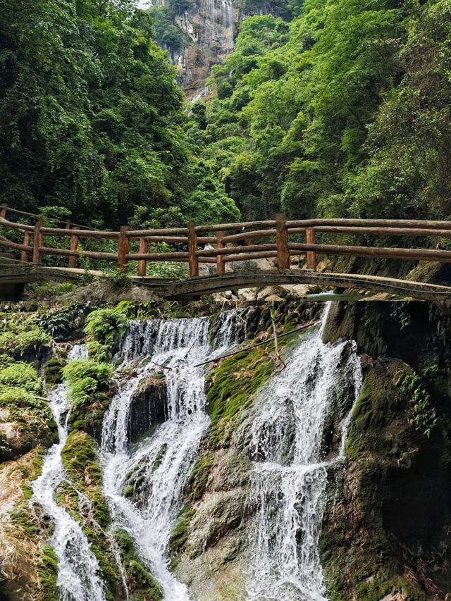 重慶主城當天往返避暑勝地!
