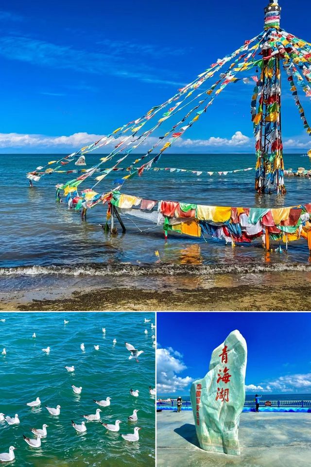 意猶未盡的西寧旅行，從優越的入住體驗開始