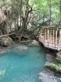 大口國家森林公園探險全攻略！