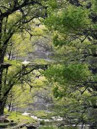 小眾隱秘古村落河南版小江南