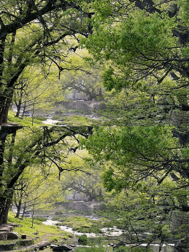 小眾隱秘古村落河南版小江南