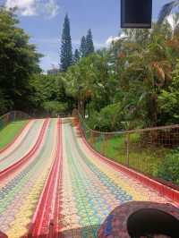 深圳探秘 | 有丁达尔效应的热带雨林