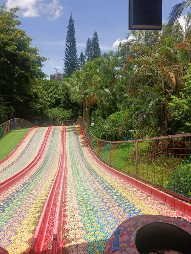 Shenzhen Exploration | A tropical rainforest with the Tyndall effect