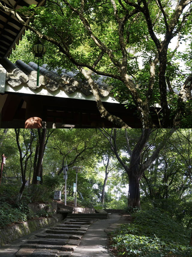 夏日避暑納涼好去處 東莞可園