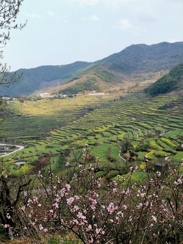 覆卮山