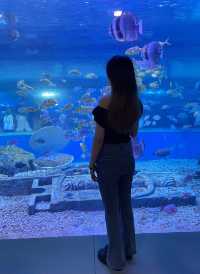 東莞海之韻極地海洋公園