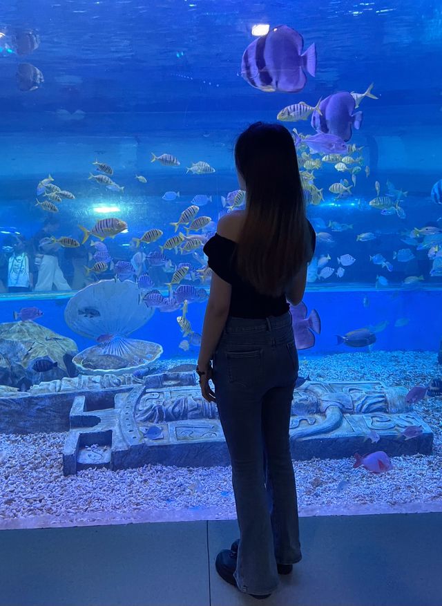 東莞海之韻極地海洋公園