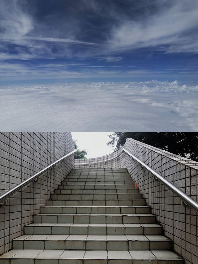 夏日建築時光對話—走進深圳大學