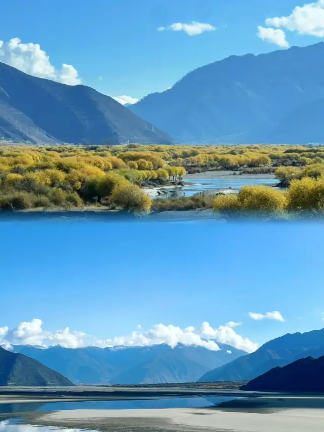 정말로 8월에 티베트에 오지 마세요! 제가 솔직히 말할게요!!!