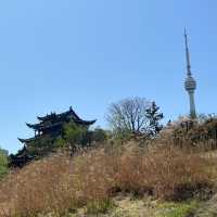 《武漢龜山電視塔：城市之巔的視覺盛宴》