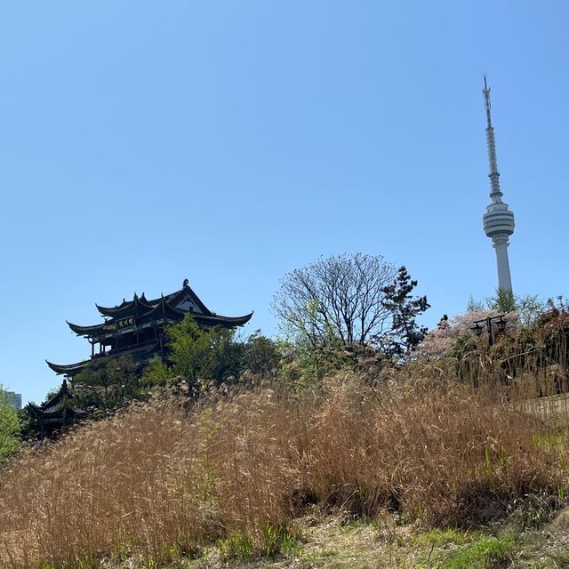 《武漢龜山電視塔：城市之巔的視覺盛宴》