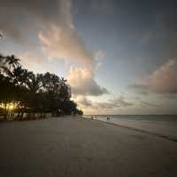 Enchantment in Zanzibar 