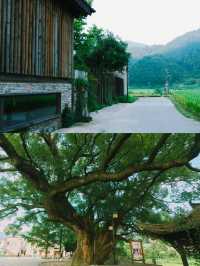 讓人回歸大自然的民宿｜婺源水岸邊｜。