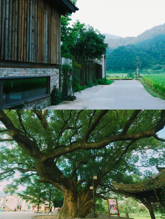 讓人回歸大自然的民宿｜婺源水岸邊｜。