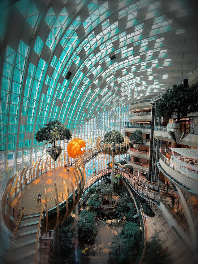 滿月照耀山城，中秋自駕遊重慶——探索魔幻霧都的三天兩夜之旅。