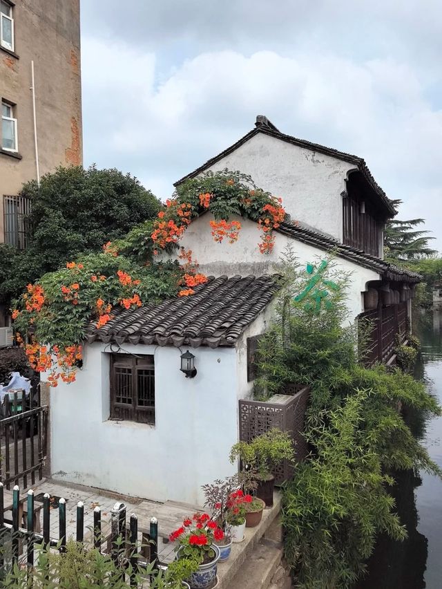 蘇州觀前平江美居酒店法式浪漫與現代便利的完美邂逅攻略