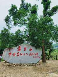 黃冈第一梯田|蕲春霧雲山網紅打卡地。