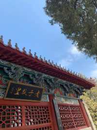 河南周口鹿邑老子故里｜感受道教文化。