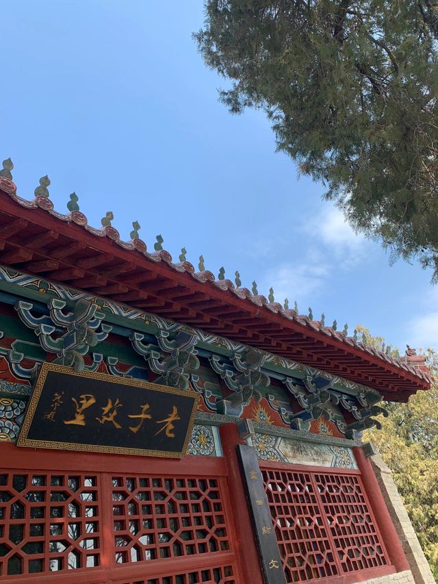 河南周口鹿邑老子故里｜感受道教文化。