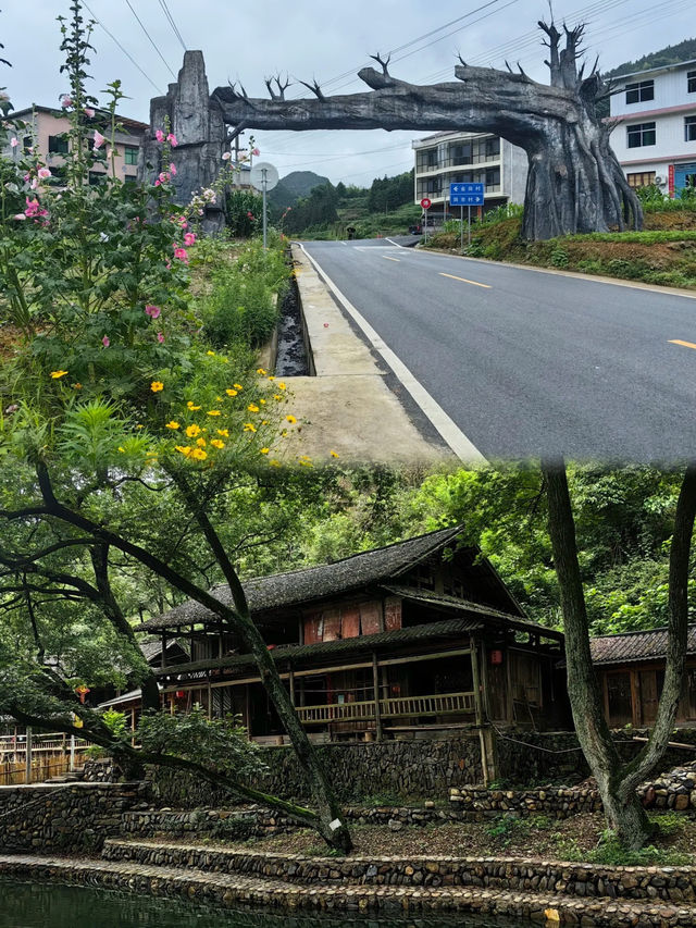 邂逅自然之美｜一步一景 陶醉在山水之間。