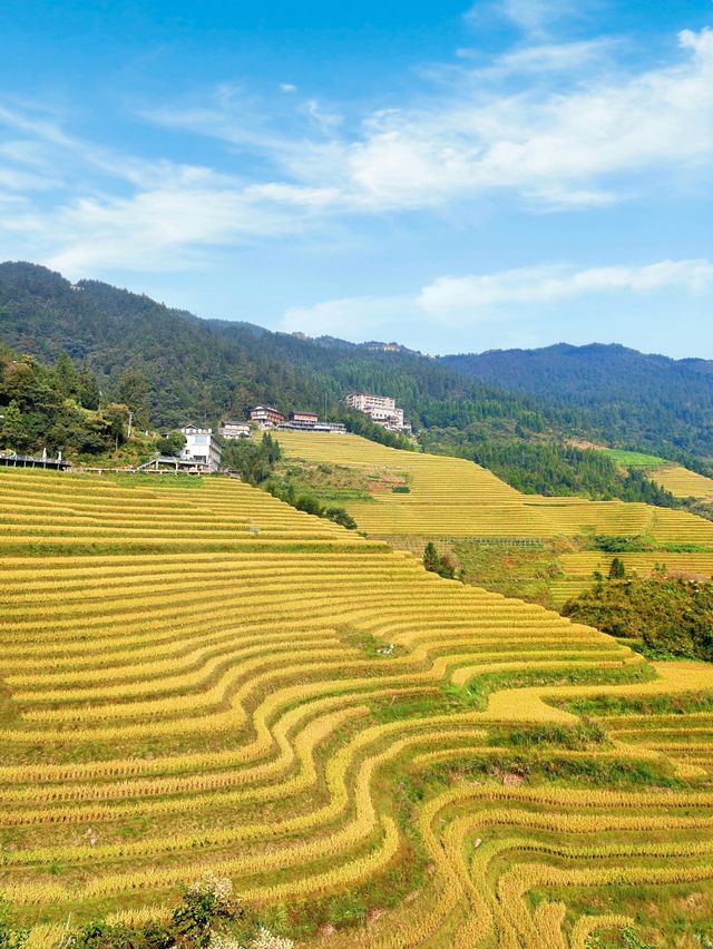 桂林龍脊梯田！住進秋天的童話裏。