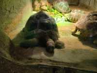 秦嶺野生動物園。