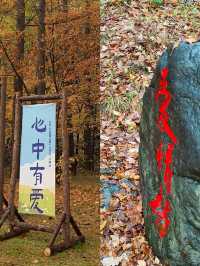 遼寧本溪關門山｜中國楓葉之都。