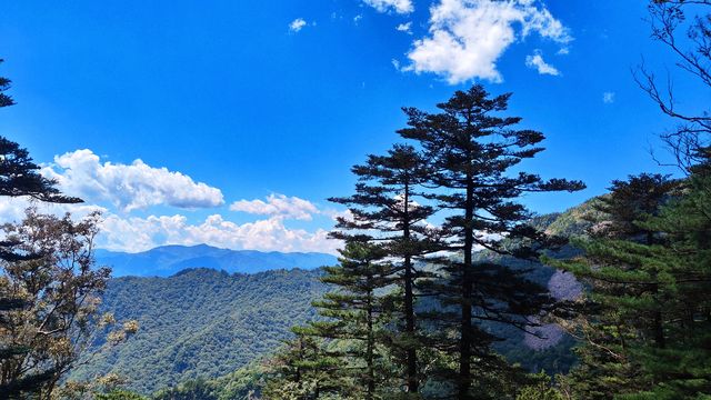 西安朱雀國家森林公園｜秦嶺之巔冰晶頂。