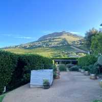Cape Wine Estate 🍷🌿