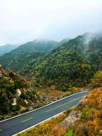 【秦嶺秋色】S101公路上的紅葉盛宴與黑龍口美食之旅。