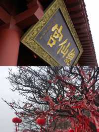 王屋山旅遊攻略|天下第一洞天|九大名山之一!!!。