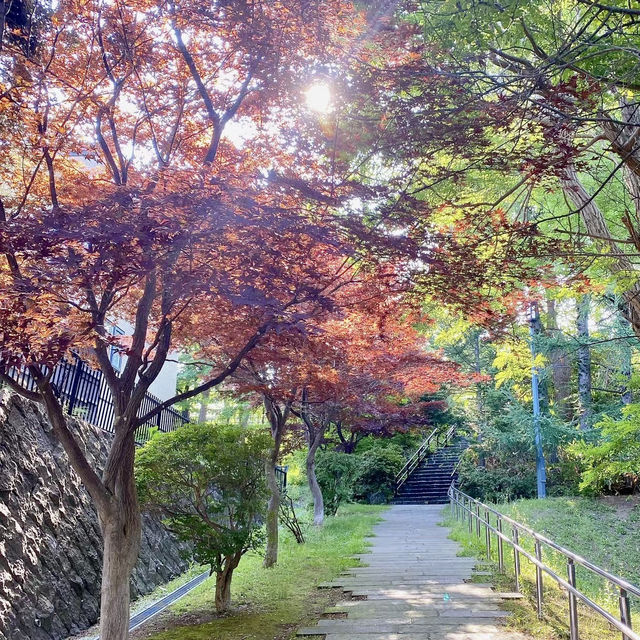 Tenjinyama Ryokuchi Park Japanese garden.