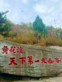 濰坊青州黃花溪 | 絕美秋景，邂逅自然之美。