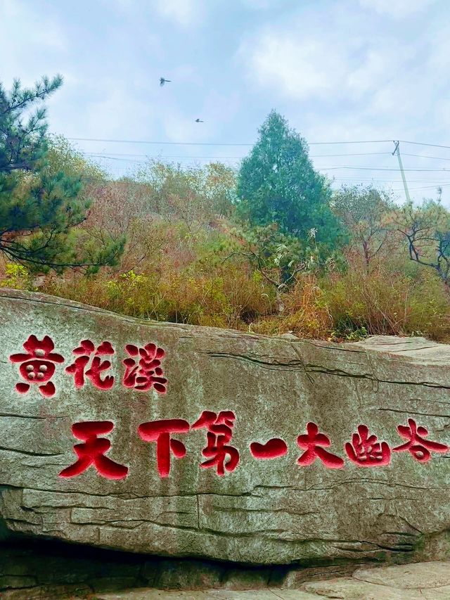 濰坊青州黃花溪 | 絕美秋景，邂逅自然之美。