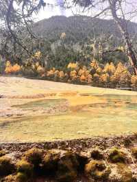 Exploring Huanglong Scenic Area: A Natural Wonder