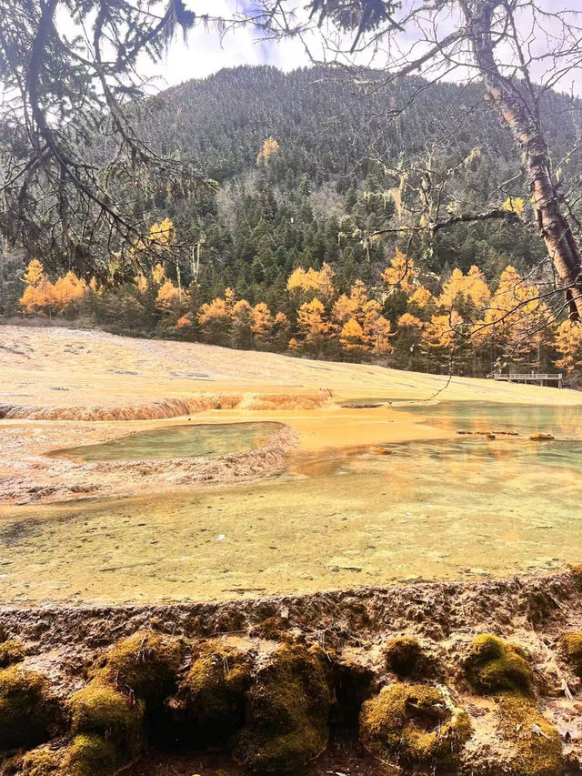 Exploring Huanglong Scenic Area: A Natural Wonder