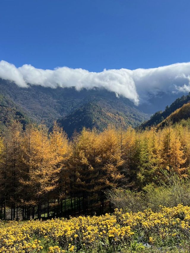 成都周邊徒步 賞秋小眾地方。