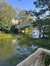 河南漯河神州鳥園｜去了不後悔的鳥園。