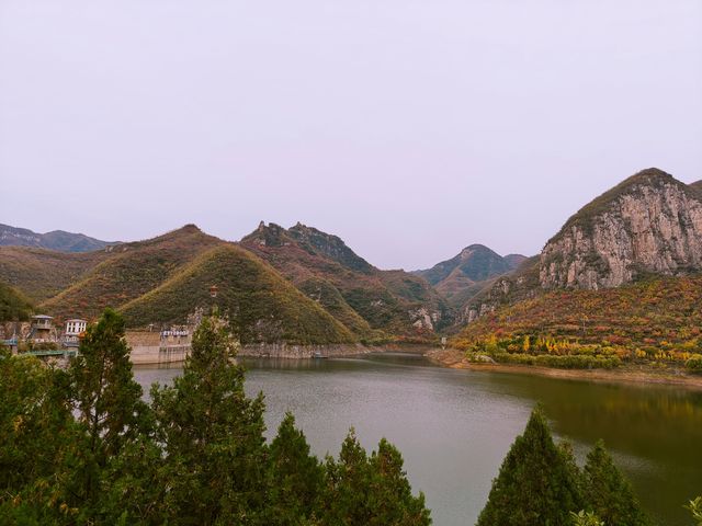 青塔湖濕地公園。