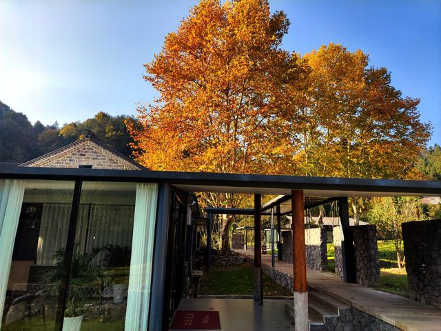 秋天最美的春山灣留居。