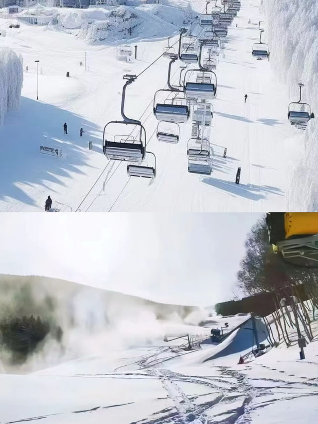 雪鄉亞布力陽光滑雪場別墅民宿旅遊攻略。