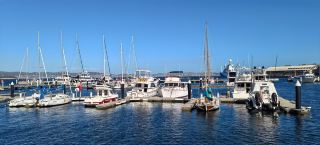 35 Days in Australia - Tasmania (4).