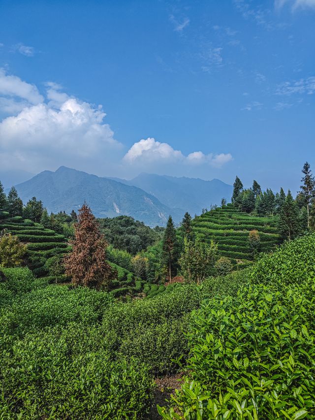峨眉山最美湖景溫泉，還能眺望峨眉山金頂。