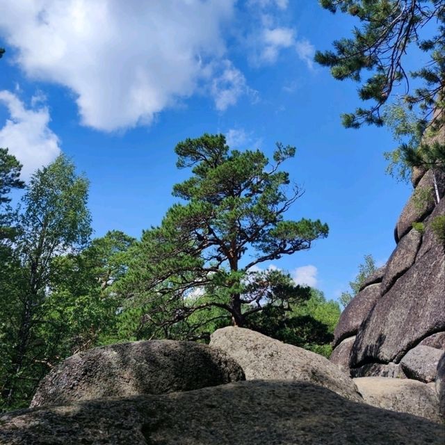 Stolby: Krasnoyarsk’s Towering Wonderland of Nature and Adventure!