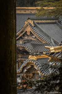 Exploring the Architectural Marvel of Nikko Toshogu Shrine