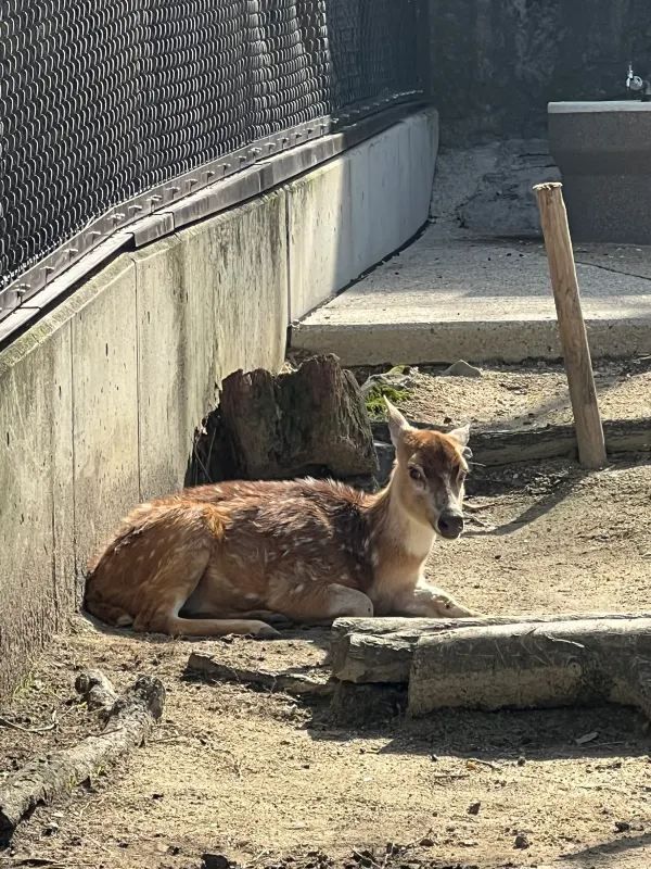 Nagoya Higashiyama Zoo and Botanical Gardens