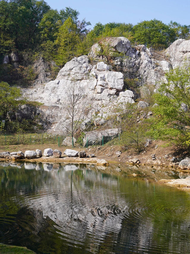 南京老山森林公園 | 親子秋遊寶藏地 。