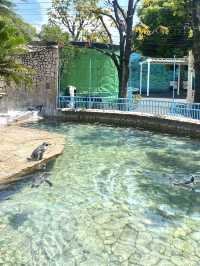 日本°東京ㅣ親子免費近郊好去處ㅣ江戶川區自然動物園。