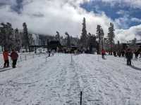 How to Enjoy Skiing at Heavenly During Peak Season