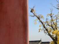 報國寺。